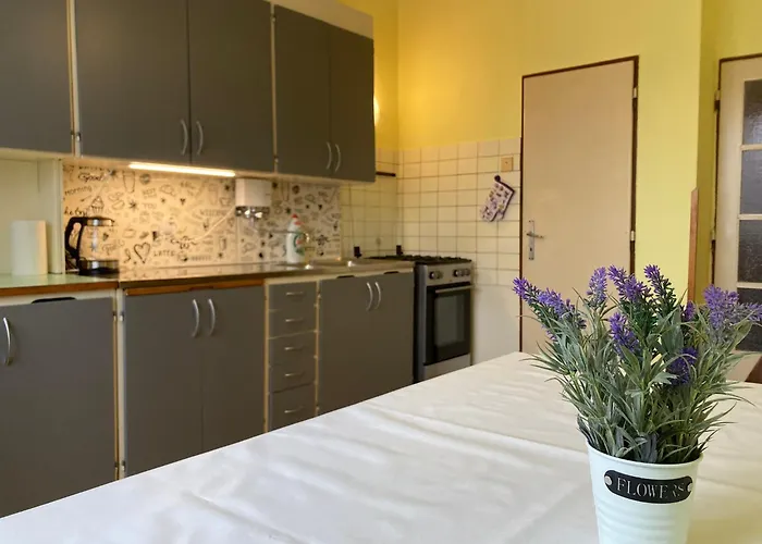 Daire Spacious - Free Parking! Prag