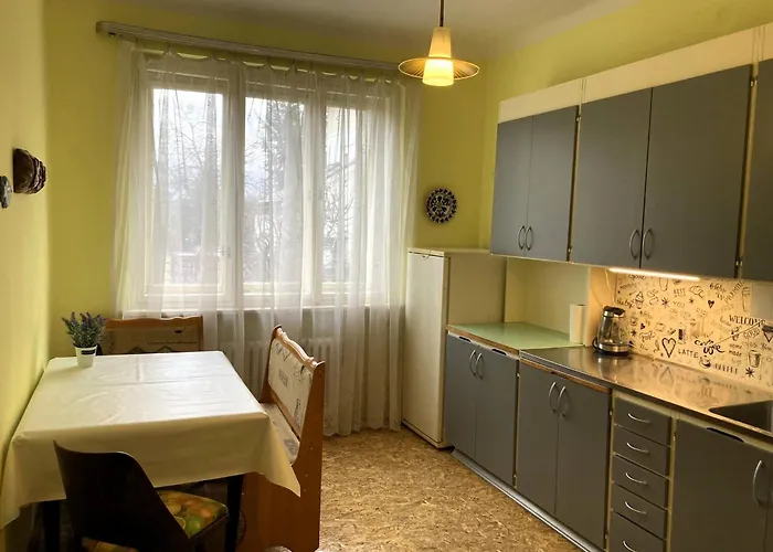 Daire Spacious - Free Parking! Prag